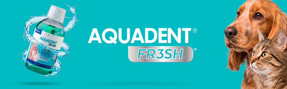 Aquadent:
